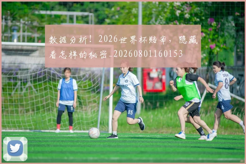 数据分析！2026世界杯赔率，隐藏着怎样的秘密_20260801160153