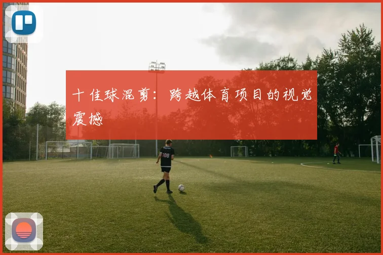 十佳球混剪：跨越体育项目的视觉震撼